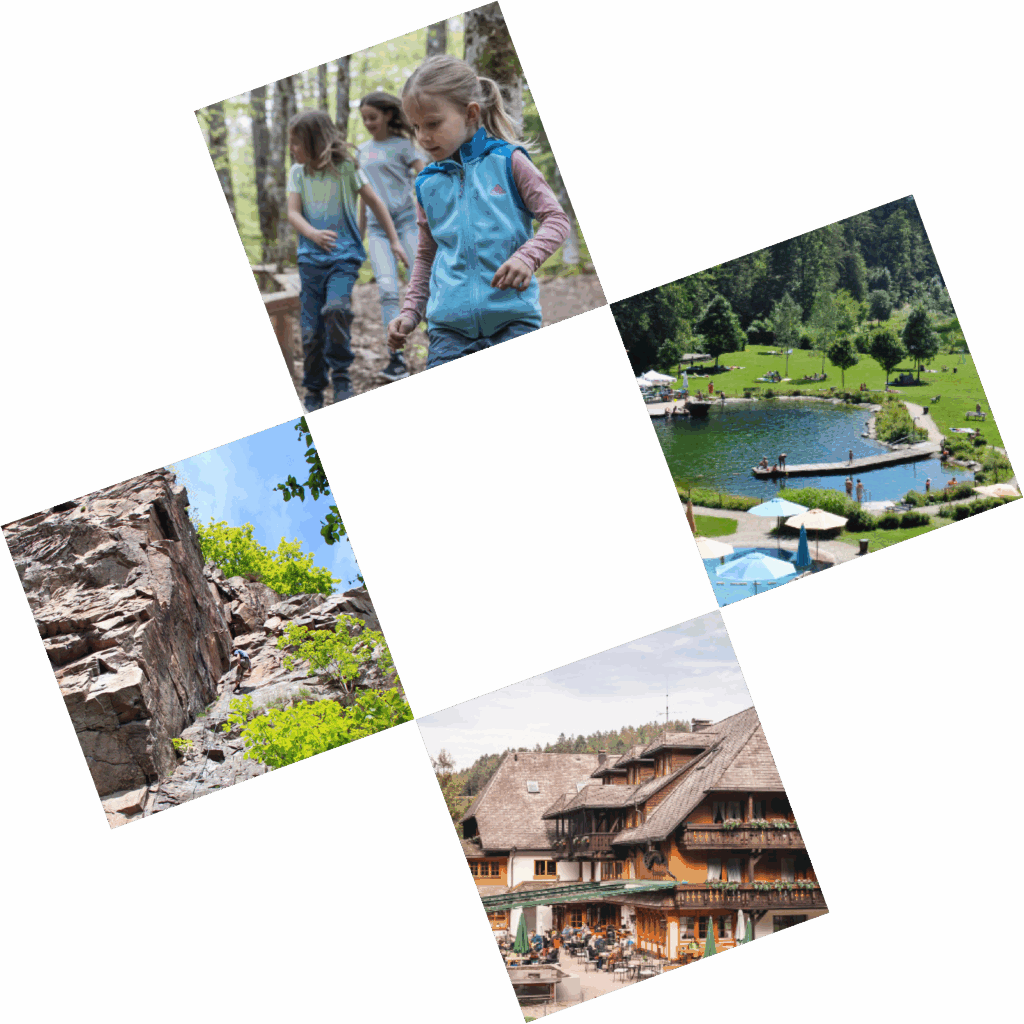 Verschiedene Freizeitaktivitäten: Kinder im Wald, Klettern, ein See und eine rustikale Lodge.